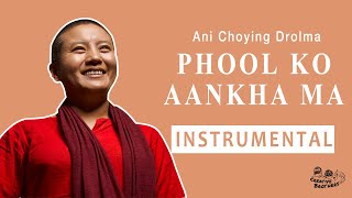 Phool Ko Aankha Ma  Instrumental  Creative Brothers [upl. by Kaya200]