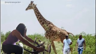 “Ride amp Discover Cycling Through The Beauty of Malindi Kenya” youtube video peloton [upl. by Aihsa]