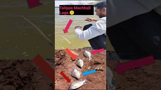 Talipea Machhali pakda 🥱 इस तरह मच्छल पकड़ी fishing fishingtecnique fish [upl. by Ielarol]