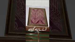 Ek balish Zameen par qabza Ajmal Razaqadri bayan foryou viralvideo 1000subscriber islamicstatus [upl. by Strepphon986]