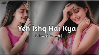 Yeh Ishq Hai Kya SlowedReverbAlka Yagnik Kumar Sanu Lofimusic 90sSong [upl. by Yannodrahc371]