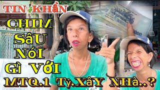 Tin Khẩn 🔴Chim SâuLên Tiếngxin Tiền “MTQ “Để Xay NhàHạnh Phúc [upl. by Akino821]