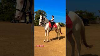 Dhruvi Rambo Horse 🐎 Riding  horse horses ghoda horseriding horselover ytvideo shortsfeed [upl. by Nazar]