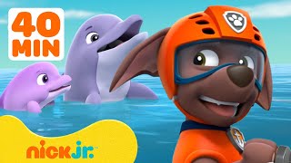 PAW Patrol Zuma’s Ocean Adventures w Rocky amp Chase 🐬 40 Minute Compilation  Nick Jr [upl. by Awuhsoj]