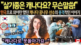 quot진정한 기적은 한국에 있었습니다quot 캐나다 쇼트트랙 꿈나무 선수 포기직전 한국에 왔는데 [upl. by Blackburn]