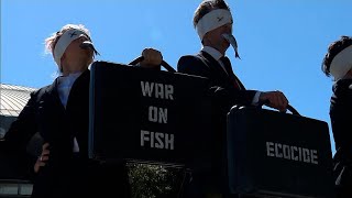 Protestos contra a pesca intensiva à porta da Conferência dos Oceanos [upl. by Michaeline]