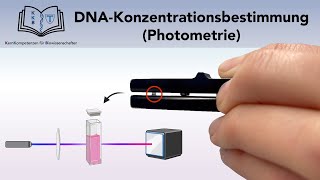 DNA KONZENTRATIONSBESTIMMUNG PHOTOMETRIE [upl. by Matronna]