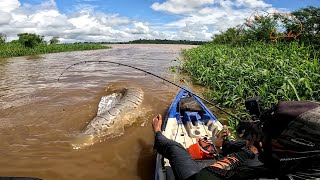 NEM ASSISTINDO A GENTE ACREDITA NA ISCA VIVA ELES PEGAVAM EMBAIXO DAS PLANTAS Pesca [upl. by Enra]