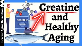 Creatine amp Healthy Aging Myth vs Reality [upl. by Etom]