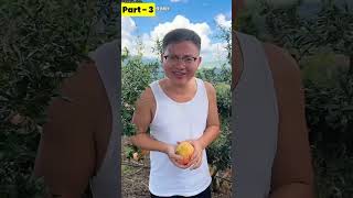 Mote ka anar biggaya funny comedy fruit memes [upl. by Hterag]