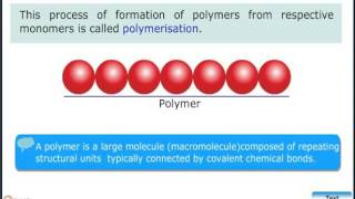 POLYMERS [upl. by Zeba]