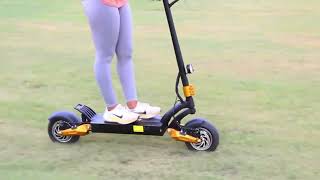 Best Electric Scooter of 2024 WAS TOO FAST  LEOOUT SX10 E Scooter Review [upl. by Alaek]