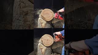 Its here M18 chainsaw vs husqvarna 372xp 282722 Milwaukee battery w 12ah forge [upl. by Nevil]