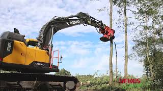 Cirkelzaag Bomengrijper  Groeneveldt Grijpers  Ufkes Greentec  Tree Felling [upl. by Toile]