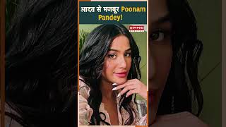 आदत से मजबूर Poonam Pandey PoonamPandey shortsvideo shorts [upl. by Luing]