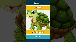 🇬🇧🇳🇱 turtle  schildpad  vocabulary builder  learn English  laten we Engels leren [upl. by Richmal]