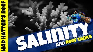 Salinity and Reef Tanks [upl. by Hewitt]