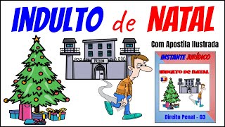 03  Indulto de Natal  Direito Penal com APOSTILA [upl. by Esilec295]