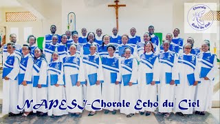 NAPESI  Chorale Echo du Ciel  St Nicolas  Lyrics [upl. by Giark644]