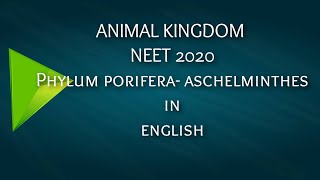 ANIMAL KINGDOM NEET IN ENGLISH L1 [upl. by Esli]