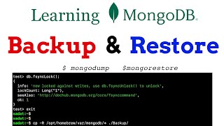 MongoDB  How To Backup and Restore Databases MongoDB 6 [upl. by Arymahs]