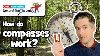 How does a compass work  General KnOWLedge [upl. by Darrej]