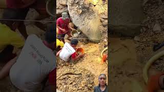 gold miner extraordinaire gold shortvideo amazing nature [upl. by Ahsiea]