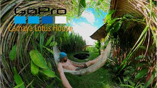 Camaya  The Lotus House [upl. by Also]