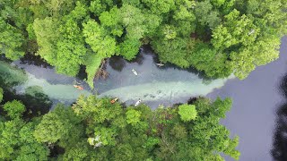 Florida Travel 360° Video Gilchrist Blue Springs State Park [upl. by Jermain]