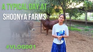 A Typical Day at Shoonya Farms I शून्य फार्म्स में एक आम दिन I Vaishavi Sinha [upl. by Dlorrej]