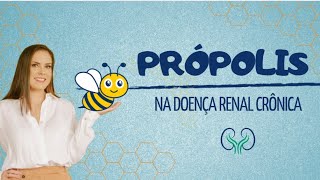 PRÓPOLIS  DOENÇA RENAL CRÔNICA [upl. by Rayshell]