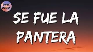 🎵 Grupo Firme Grupo Recluta – Se Fue La Pantera Letra\Lyrics [upl. by Roderic269]