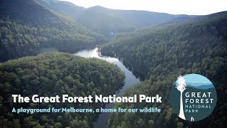 The Great Forest National Park  A Vision for Victoria [upl. by Johen]