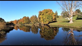 Relaxing Autumn River Walk  Hebden To Grassington Yorkshire Dales National Park [upl. by Anaehr550]