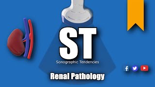 Renal Pathology [upl. by Shuman]