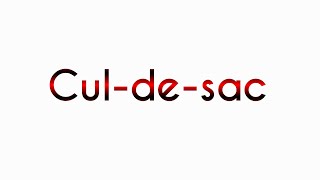 CuldeSac meaning [upl. by Luane]