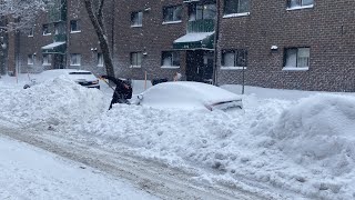 Une première tempête de neige peu de dégâts [upl. by Alexandro]