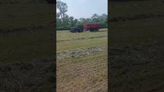 Fendt 716 vario fendt fendt716 lair johndeere ensilage [upl. by Oliviero]