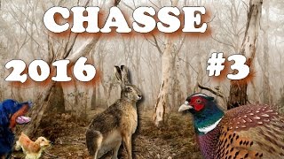 CHASSE PETIT GIBIER 2016 3 CALIBRE 28 PHEASANT HUNTINGCACCIA SELVAGGINACAZA MENOR [upl. by Ennayt116]