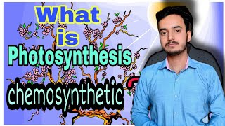 What is photosynthesis  life without photosynthesis  photosynthesis chemosynthesis [upl. by Roseann851]