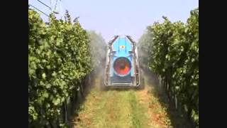 Weinbau  ZUPAN Sprayers [upl. by Ynehteb]