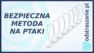 Spirala przeciw gołębiom model S Jak zabezpieczyć parapet przed gołębiami [upl. by Schonfeld759]