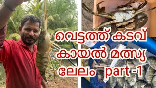 വെട്ടത്ത് കടവിലെ കരിമീൻ ലേലം part 1fish alappuzha karimeen [upl. by Adlesirk]