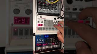 Korg Volca NuBass  Volca Sample  Acid House Live Session [upl. by Cran]