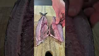 My Cats Favourite Sushi Salt and Vinegar Mackerel sushirecipe catseating summerkitchen hotchef [upl. by Pennebaker953]