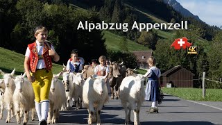 Alpabzug Appenzell Alpine Descent [upl. by Mathi]