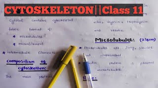 CytoskeletonClass 11Chapter 4Easy lectures by zaib [upl. by Arrait]