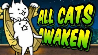 SO MANY TRUE FORMS  Awakens Specials Stages  Battle Cats 27 [upl. by Einnoc]