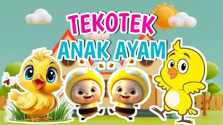 TEKOTEK ANAK AYAM  LAGU ANAK ANAK  LAGU ANAK AYAM LUCU [upl. by Latimer]