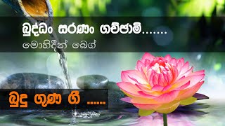 Buddan Saranan Gachchami බුද්ධං සරණං ගච්ඡාමි  Mohidin Beg Songs  Budu Guna Gee බුදුගුණ ගී [upl. by Nosyaj]